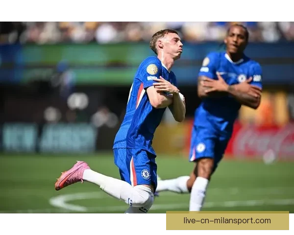 世俱杯足球精彩直播：全球顶级俱乐部争夺冠军荣耀全程直播